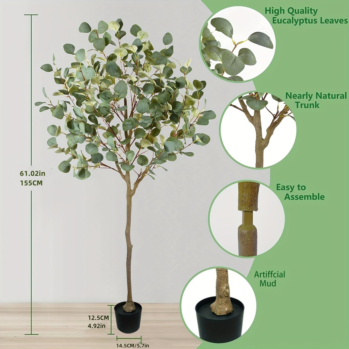 Eucalyptus