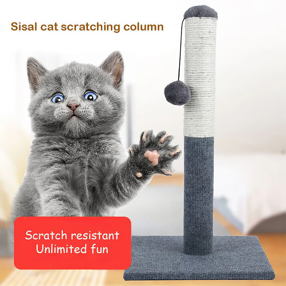 TALL LARGE CAT SCRATCHING POST 55CM STRONG NATURAL SISAL POLE HEAVY DUTY BASE UK