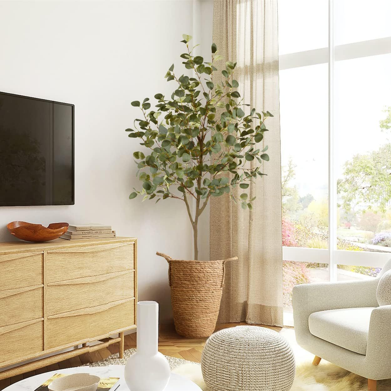 Eucalyptus