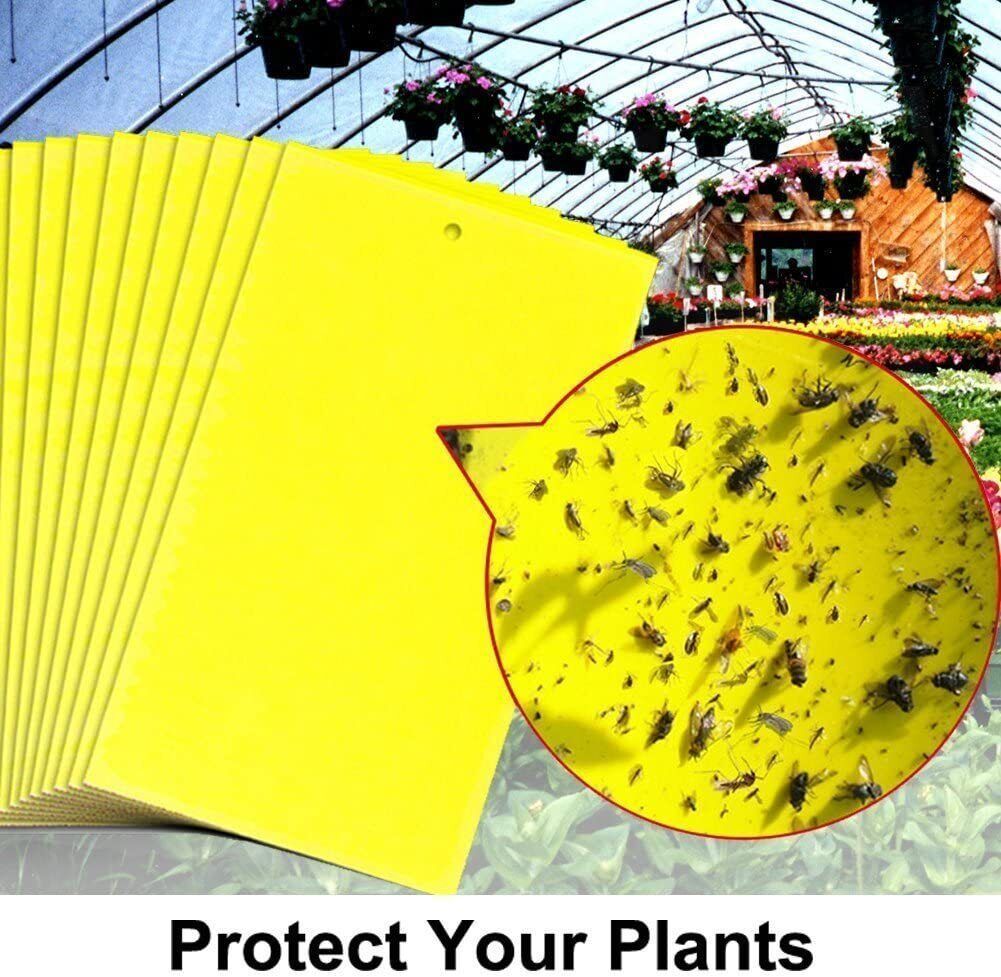 40Pcs Yellow Sticky Fly Trap Paper Fruit Flies Insect Aphids Glue Catcher Bug