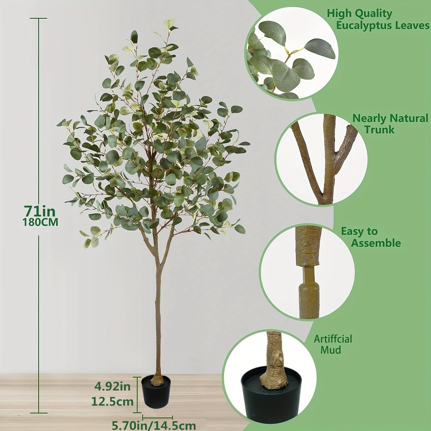 Eucalyptus
