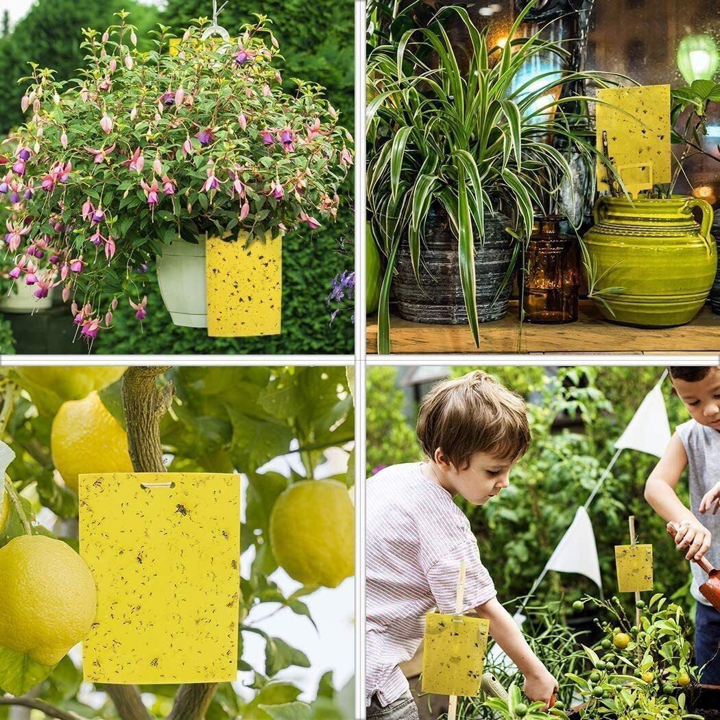 40Pcs Yellow Sticky Fly Trap Paper Fruit Flies Insect Aphids Glue Catcher Bug