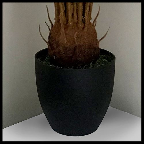 70cm Artificial Tropical Cycas Palm Plant